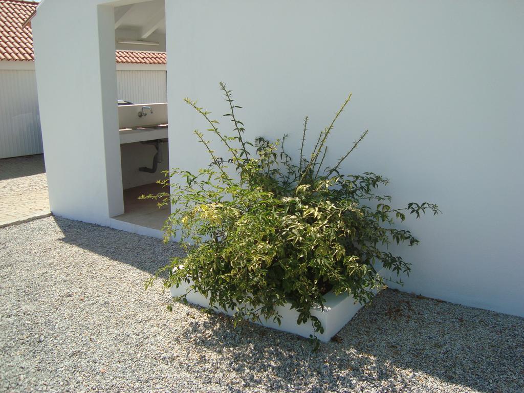Monte Das Texugueiras - Adults Only Экстерьер фото